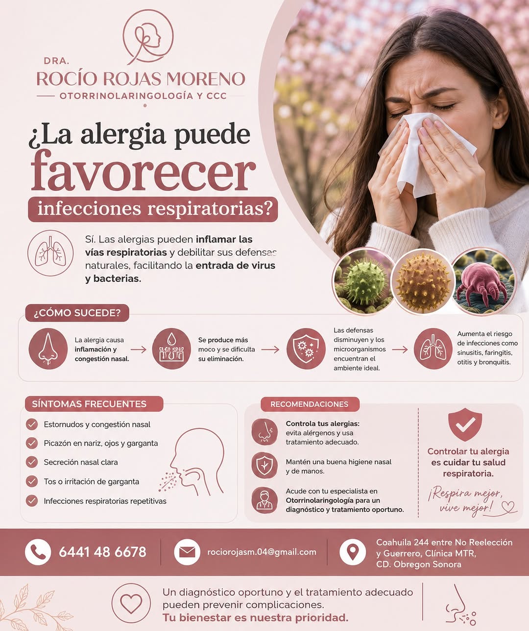 Infografía sobre alergias e infecciones respiratorias